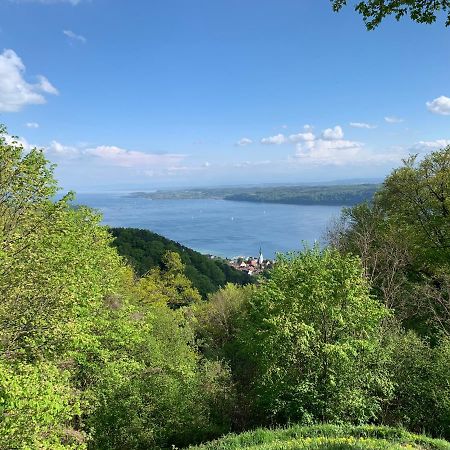 Gasthaus Traube, Ludwigshafen, Bodensee, Seenah Gelegen Bodman-Ludwigshafen Εξωτερικό φωτογραφία